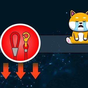 Shiba Inu’s LEASH Token Plunges on Underwhelming Announcement, But There’s More