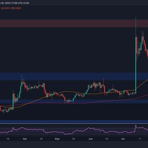 Big Bounce to $0.9 Possible for XRP if This Critical Level Holds (Ripple Price Analysis)