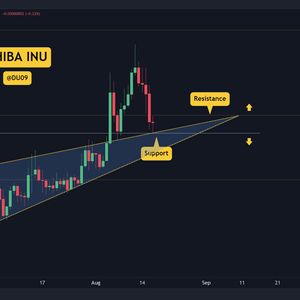 SHIB Crashes 7% Daily, How Low Can it Go? 3 Things to Watch This Week (Shiba Inu Price Analysis)
