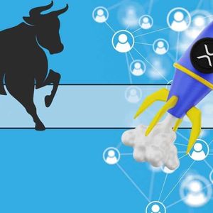 XRP Price During Next Bull Market: 3 Things to Keep an Eye Out For