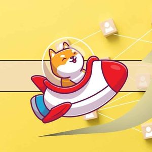 Analyst Forecasts Over 44% Rally for Shiba Inu (SHIB): Find Out the Targets