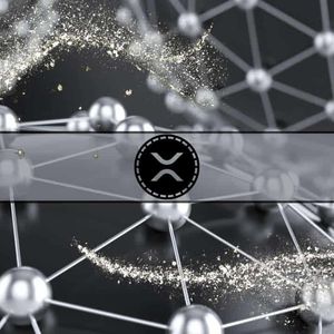 Silver Lining: XRP Options Now Available on Major Exchange Following Soaring Interest