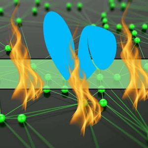 Is This the Hottest Trend in Crypto Right Now?
