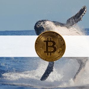 Mysterious Wallet Jumps to 3rd Largest BTC Holder in 3 Months: BlackRock or Gemini Involved?