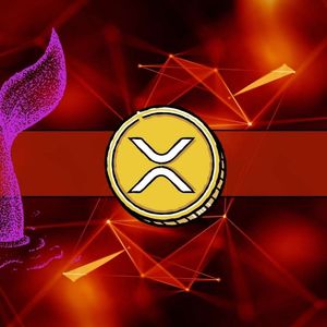 Could This Significant Ripple (XRP) Purchase Set the Stage for Potential Price Surge?