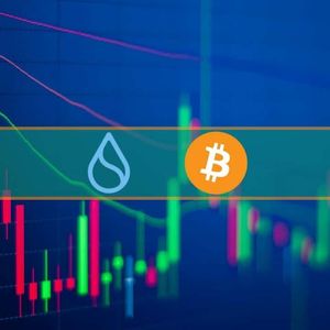 BONE, SUI Soar 20% Weekly, BTC Stagnates at $26K Again (Weekend Watch)