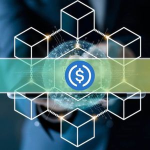 USDC to Launch on These 6 Blockchains Within 2 Months: Report