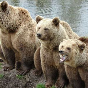 Crypto in Longest Bear Market Ever at 490 Days, But When Will it End? (Analysis)