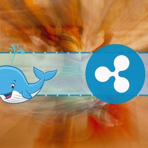 Is This Whale Planning to Dispose $15 Million Worth of Ripple (XRP)?