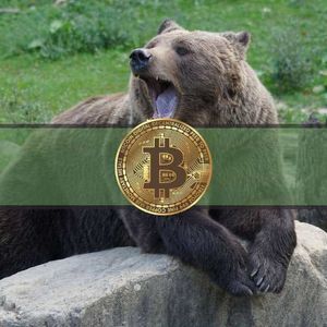 Bitcoin Bears Getting Bolder as Technical Indicators Paint Grim Picture