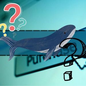 Crypto Whale’s Shopping Spree: Over $13M Spent on These 17 Tokens