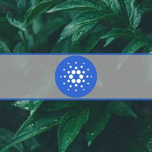 Cardano’s Transaction Volume up by 1,700% Since January Even as Market Flatlines: Data