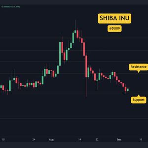 Recovery Rally or Another Crash for SHIB? 3 Things to Watch This Week (Shiba Inu Price Analysis)