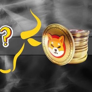 What Really Caused the Shiba Inu (SHIB) Epic Rally Last Bull Market?