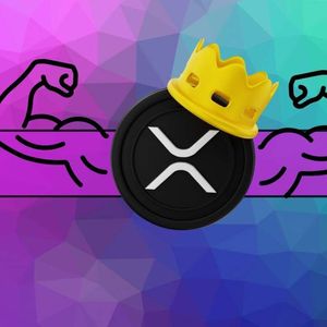Great Milestone for Ripple (XRP) in 2023: On-Chain Transaction Vol Soars