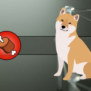 This Exchange Is Now The Largest Single Holder of Shiba Inu’s BONE