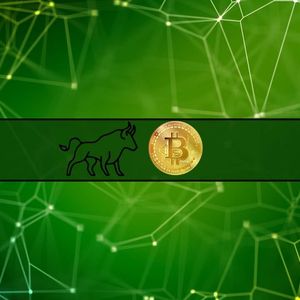 Which Cryptocurrencies Can Outperform Bitcoin in the Next Bull Market?