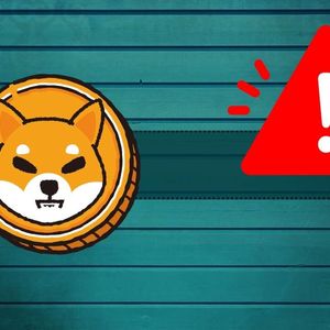 Shiba Inu (SHIB) Is Facing a Threat? Here’s What You Need to Know