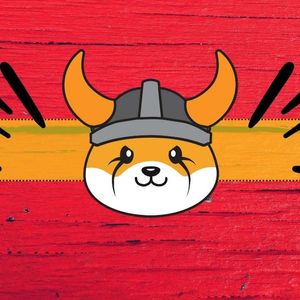Floki Inu (FLOKI) With Important Clarifications Over Recent Controversy
