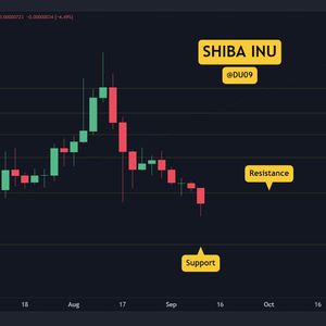 How Low Can SHIB Go? This Support Has to Hold (Shiba Inu Price Analysis)