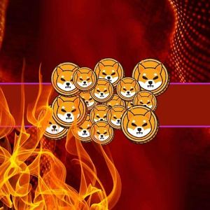 How Does the Shiba Inu (SHIB) Burn Work: Everything You Need to Know