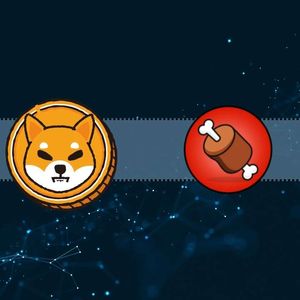 These Factors Will Drive Shiba Inu’s BONE Price up: Shibarium Marketing Strategist