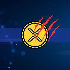 Is Ripple Under Attack? Community Member Reveals Signs of Coordinated XRP Offensive