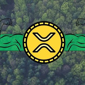 Ripple (XRP) Defies Bear Market Trend as Institutional Flows Positive