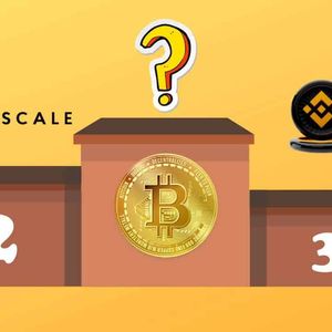 Bitcoin’s Top 10 Largest Holders List