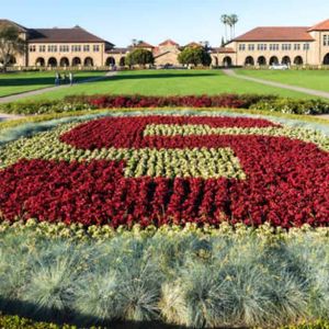Stanford University to Return Millions in FTX Gifts