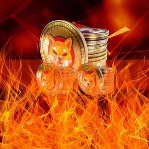 SHIB Destroyed in the Last 24 Hours Over 130 Million as Shiba Inu Burn Rate Skyrockets 320%
