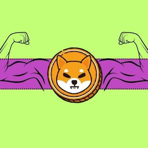 Shibarium’s Real Growth is Just Beginning, Shiba Inu Developer Says