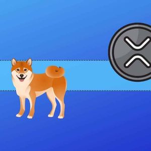 The Past 24 Hours for Ripple (XRP), Shiba Inu (SHIB), and More