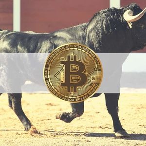 Bitcoin Hodler Growth Comparable to 2017 Cycle, Will BTC 10x in Next Bull Run?