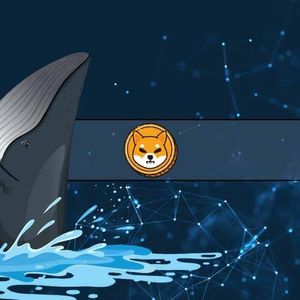 Massive SHIB Buys of Over 4 Trillion by This Whale: Do They Know Something We Don’t?