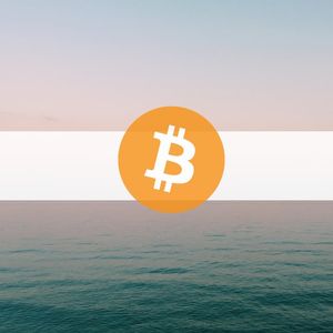 Bitcoin NUPL Metric Indicates Short-Term Holders’ Dilemma: Data