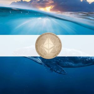 Ethereum Whales Hold a Third of Supply But Selling Continues