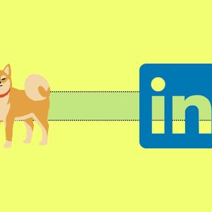 Shiba Inu Team Makes an Important Announcement: Details