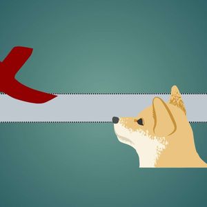 This Shiba Inu (SHIB) Rival Affected by BitMEX’s Recent Delisting Spree