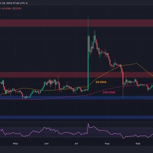 XRP Getting Ready for a Rally to $0.60, but What’s the Catch? (Ripple Price Analysis)