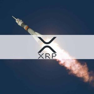 XRP’s Price Uptick Linked to Major Accumulation by Savvy Investors: Data