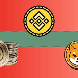 Important Binance Update Concerning Shiba Inu (SHIB) and Dogecoin (DOGE)