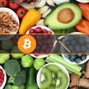 This Swiss Company Wants to Use Excess Energy From Food Production to Mine Bitcoin