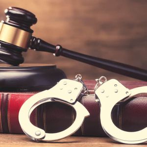 How The Police Apprehended Silk Road’s 50,000 Bitcoin Thief