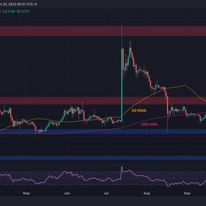 XRP Bull Run Increasingly Possible if This Level Falls: Ripple Price Analysis