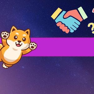 Calm Before the Storm? Shiba Inu (SHIB) Dev Teases Massive Developments