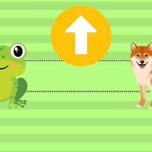 These Meme Coins Soar in Value: Find Out Why SHIB and PEPE Prices Explode