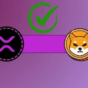 Another Important Partnership Concerning Ripple (XRP) and SHIB