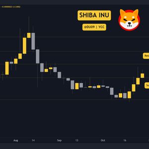 SHIB Skyrockets 12% Weekly but is a Correction Coming This Week? 3 Things to Watch (Shiba Inu Price Analysis)