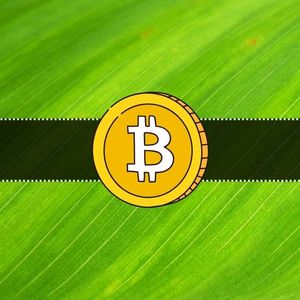 Will the Bitcoin (BTC) Price Rally Continue in November?